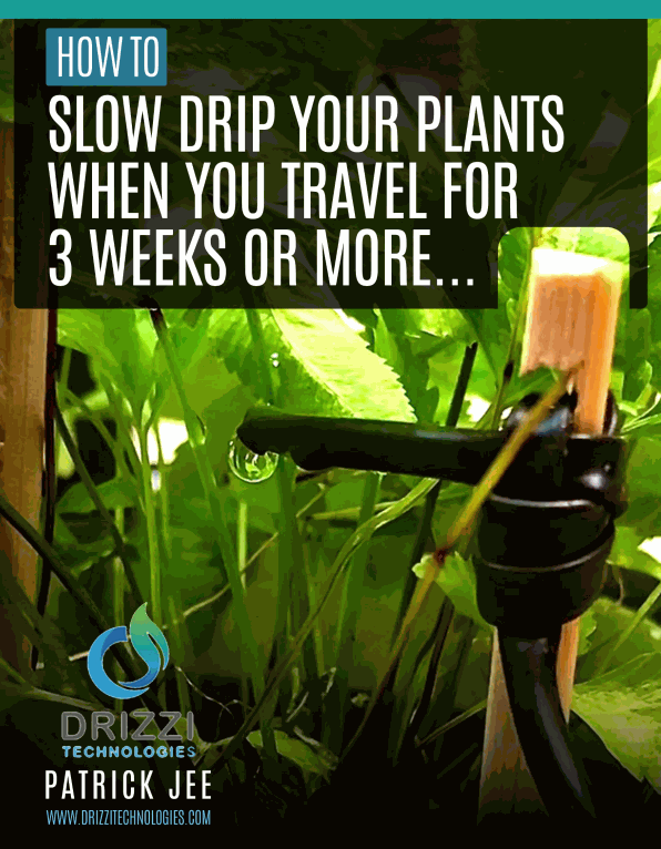 eBook: How to slow drip your plants when you travel for 3 weeks or more...